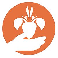 Show profile photo