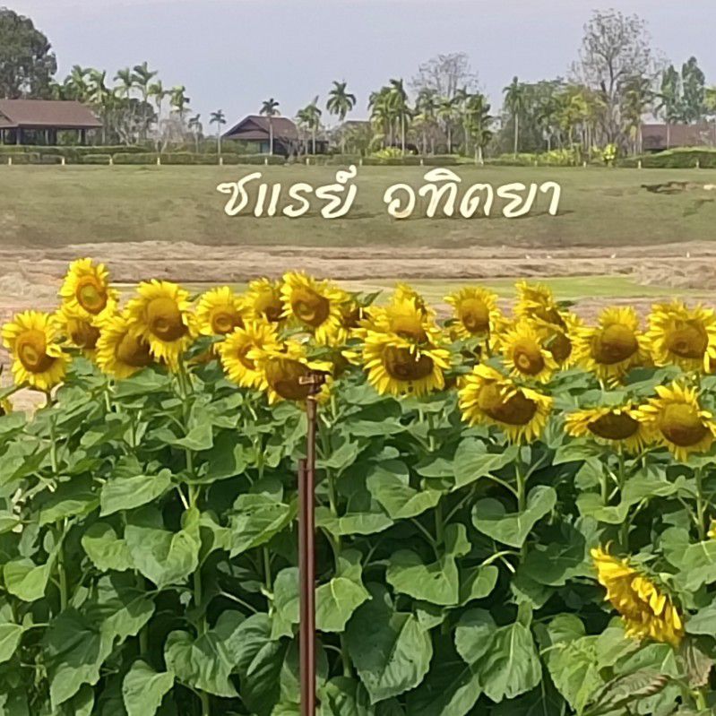พรศักดิ์