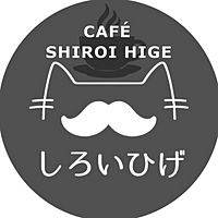 Show profile photo