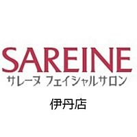 Show profile photo