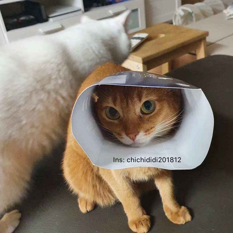 李**