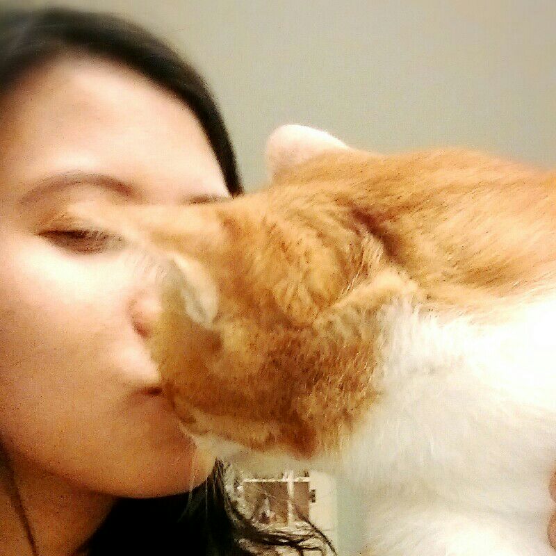 王家珍 Joyce Wang