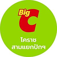 Show profile photo