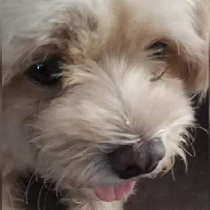 นก