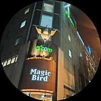 Show profile photo