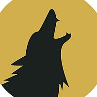 Show profile photo