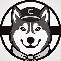 Show profile photo