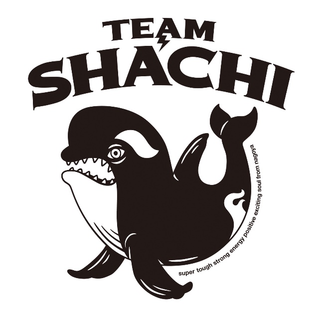 TEAM SHACHI | LINE Official Account