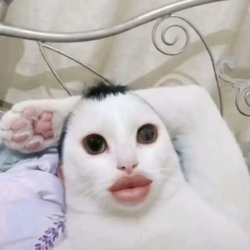 มาย