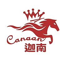 Show profile photo