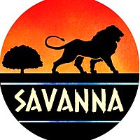 Show profile photo