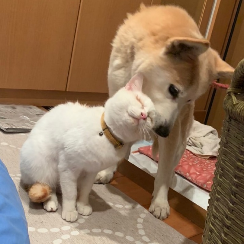 ゆみ
