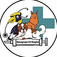 Show profile photo