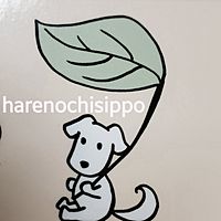 Show profile photo