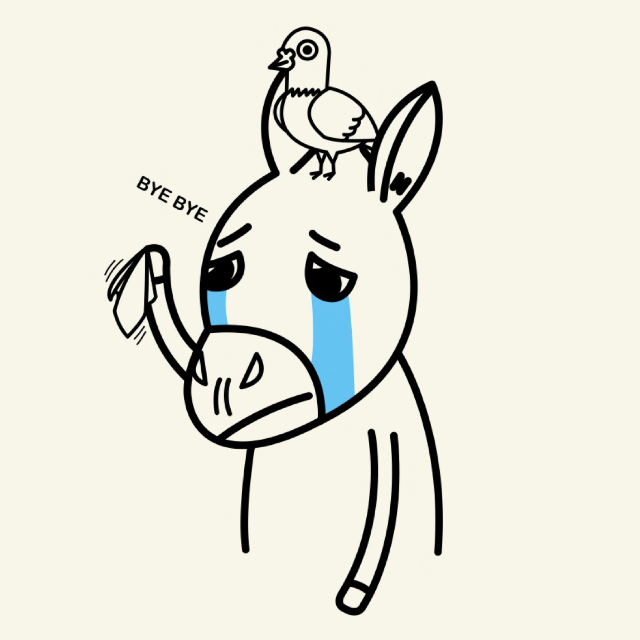 An Image