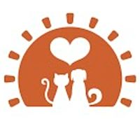 Show profile photo
