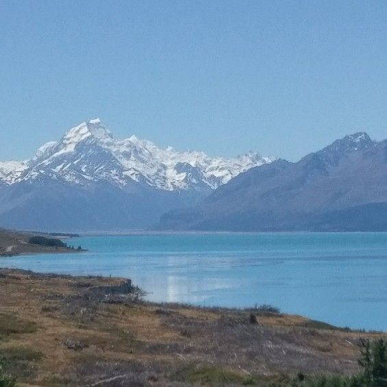 Shen Pei C 鄭昇沛的頭像
