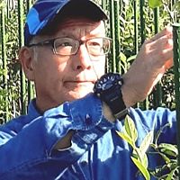 Show profile photo