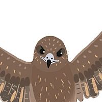 Show profile photo