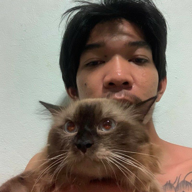 เต้ย