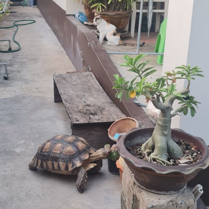 นิ่ม