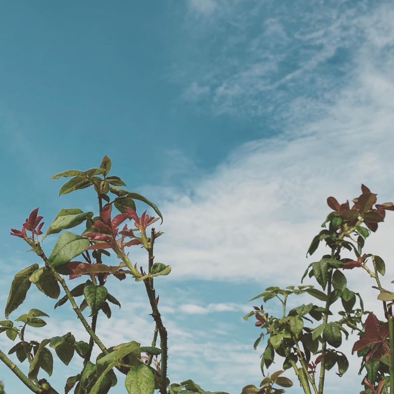 เจ