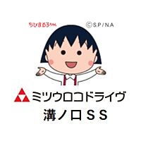 Show profile photo