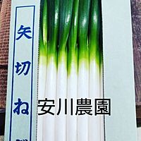 Show profile photo