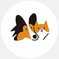 Show profile photo