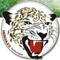 Show profile photo