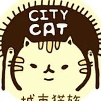 Show profile photo