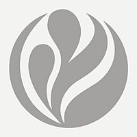 Show profile photo