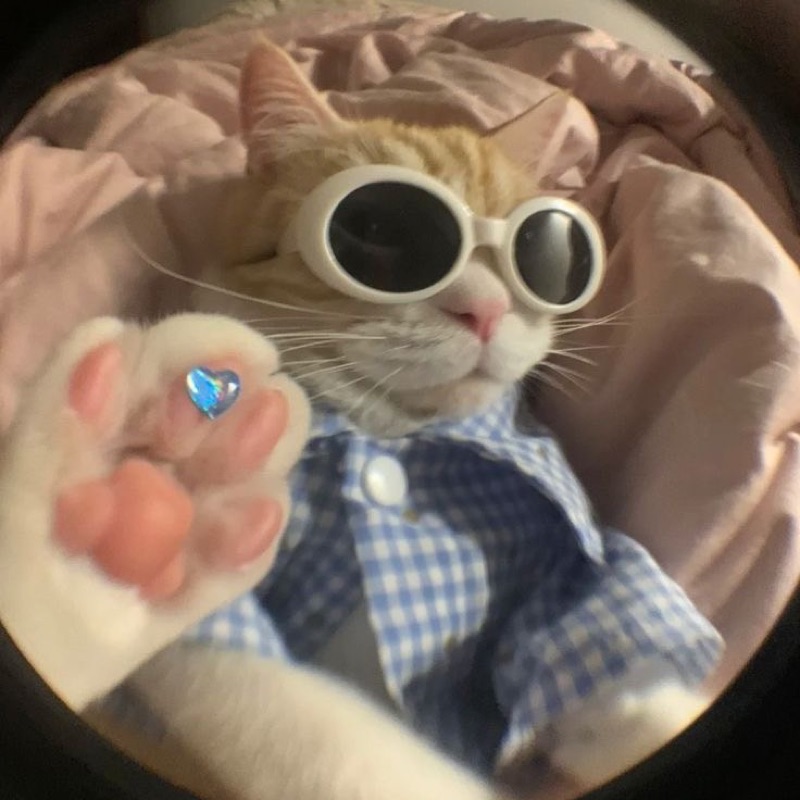 ขนุน