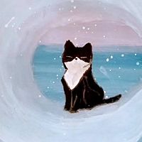 Show profile photo