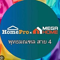 Show profile photo