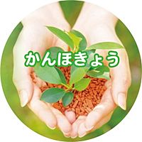 Show profile photo