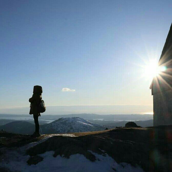 Tiffany（海鷗老師）的頭像