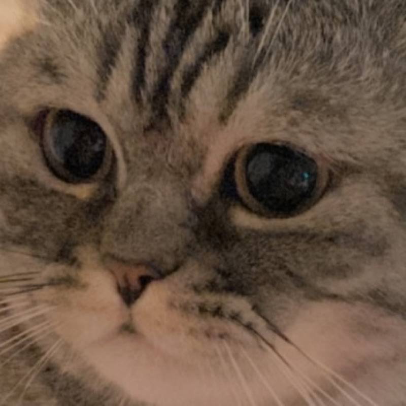กีกี้