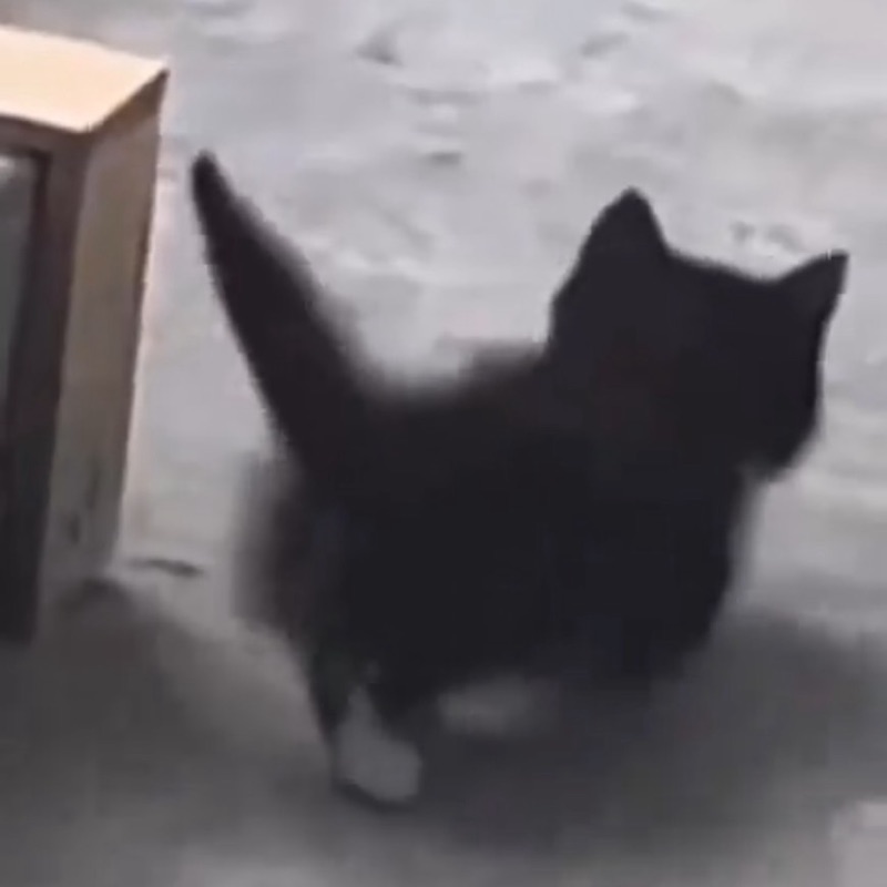 みま