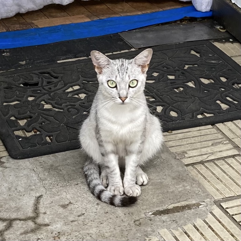 :3