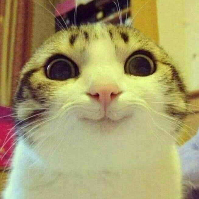 อาร์ม