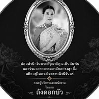 Show profile photo