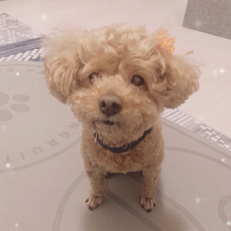 李**