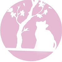 Show profile photo
