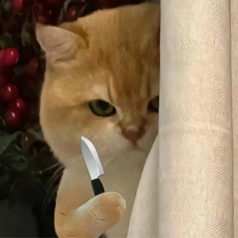 แบม