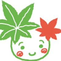 Show profile photo