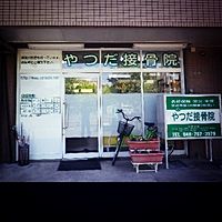 Show profile photo