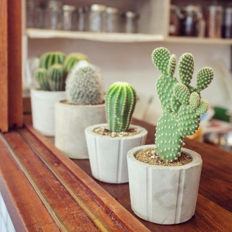 前方旅遊 ╹◡╹