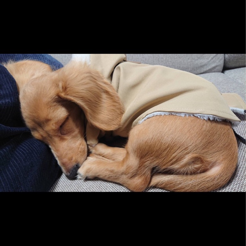 KitaQ
