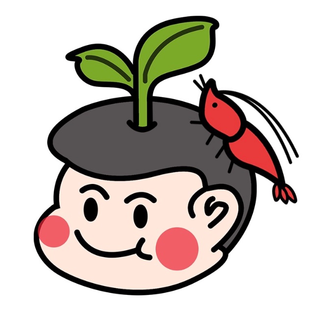 An Image